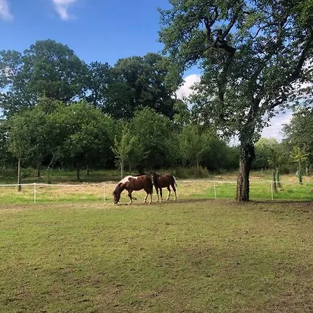 Сasa de vacaciones La Foret Auvray - *