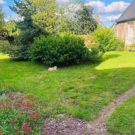 La Foret Auvray - * Putanges