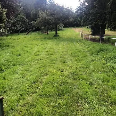 La Foret Auvray - Putanges