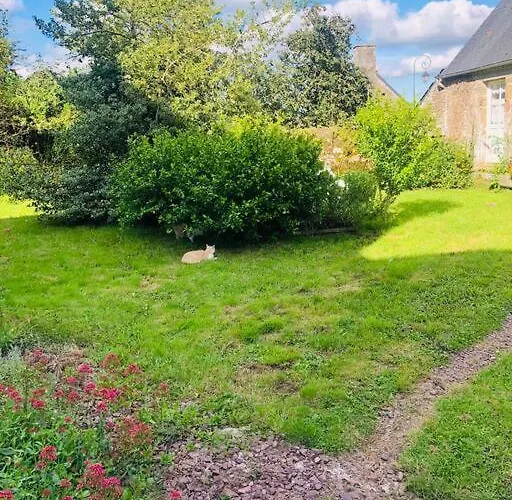 La Foret Auvray - * Putanges