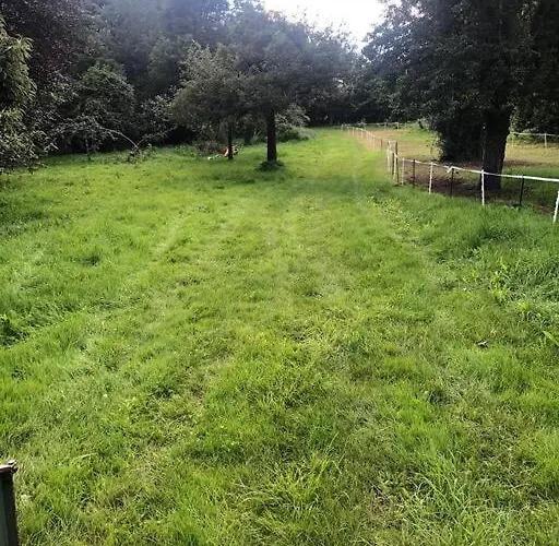 La Foret Auvray - Putanges